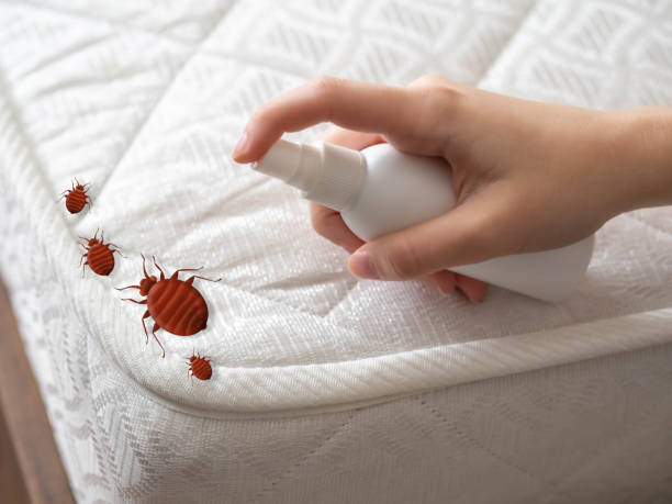 Best Best Pest Control Companies  in Butler, MO